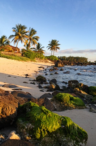 Mauritius voted top island destination